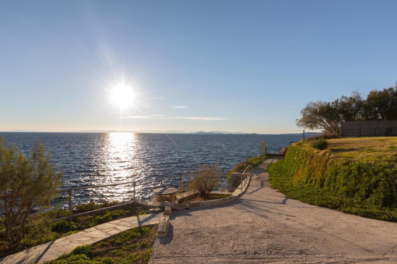 Luxurious Villa Philoxenia Lagonisi Exterior foto